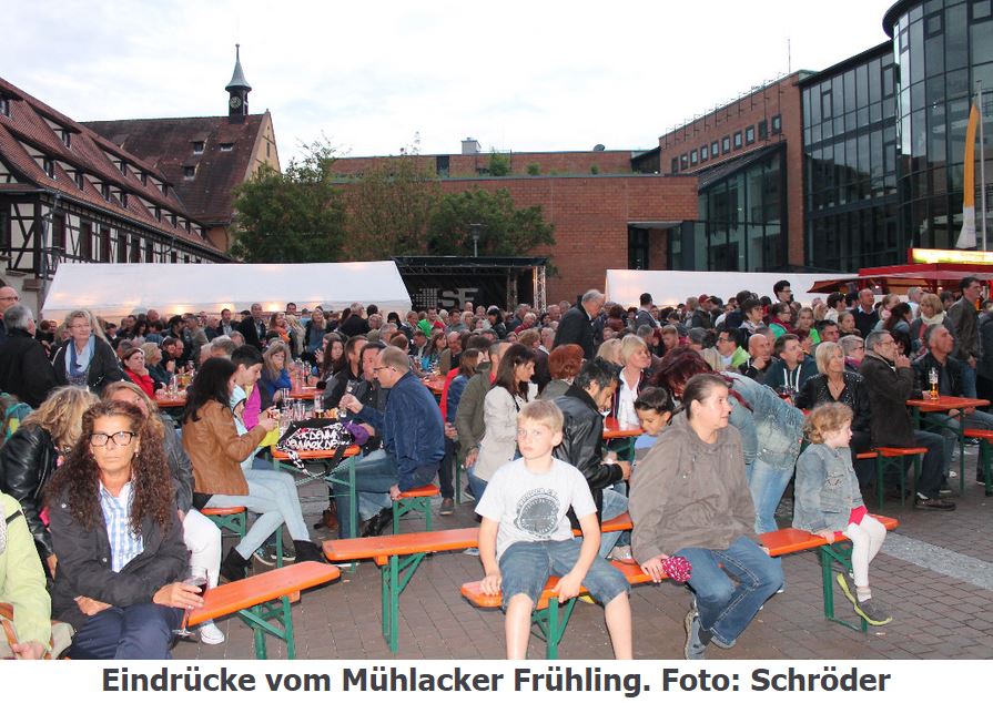 2015-05-17 18_28_44-Mühlacker Frühling lässt die City aufblühen - Mühlacker Tagblatt _ Mühlacker Tag