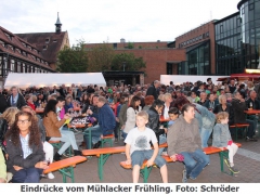 2015-05-17 18_28_44-Mühlacker Frühling lässt die City aufblühen - Mühlacker Tagblatt _ Mühlacker Tag